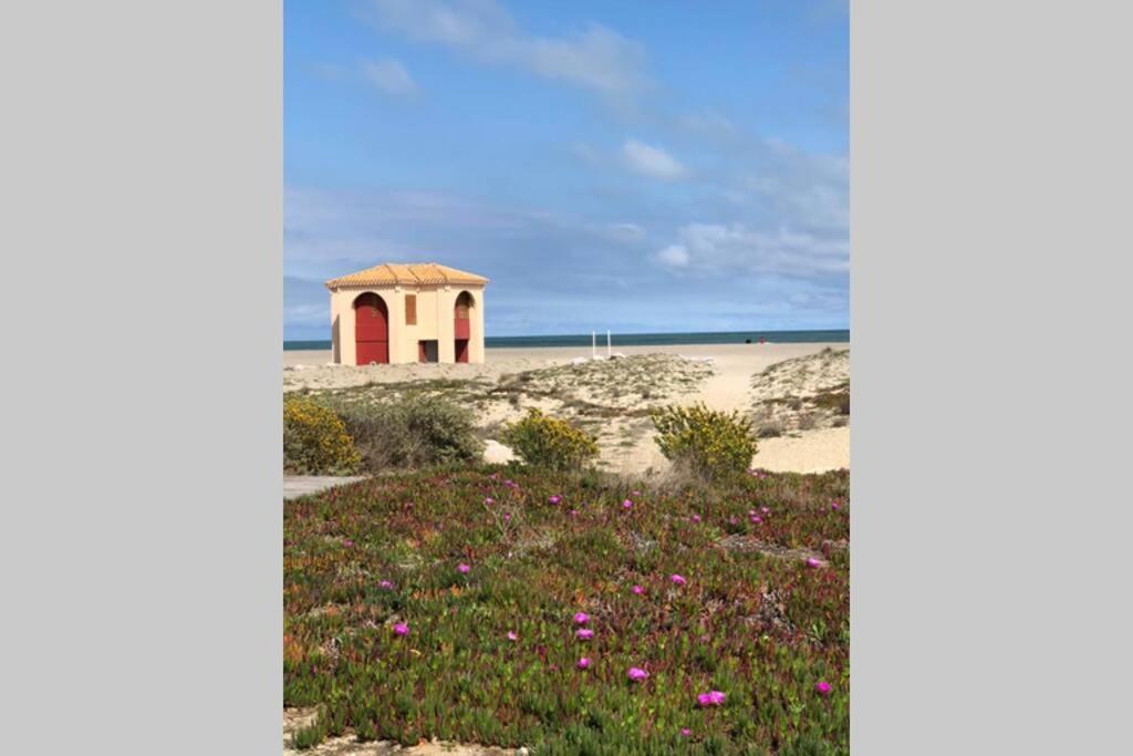La Perle Vue Mer Pieds Dans L'Eau Clim Wifi Leucate Extérieur photo